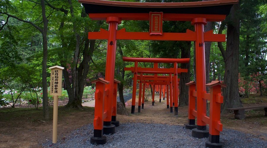 🌸 명승 스카가와 모란원 (메이쇼 스카가와 보탄엔) 이미지 10